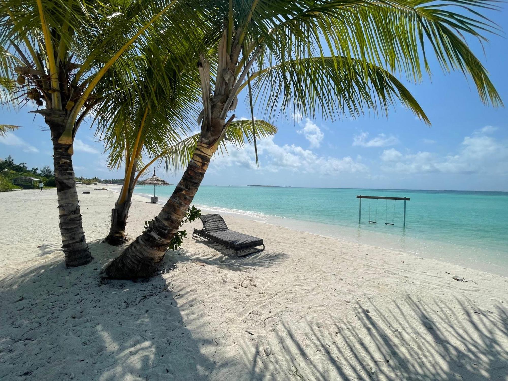 Koimala Maamigili
